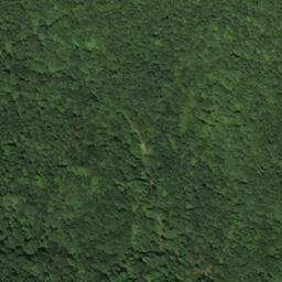 Satellite imagery of E 10 — NGS JX0212 — Lewis County, US, US