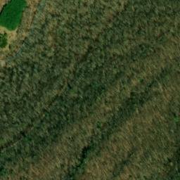 Satellite imagery of Thorny Bottom Ridge, US