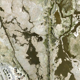 Satellite imagery of Genoa Comstock Mines, US