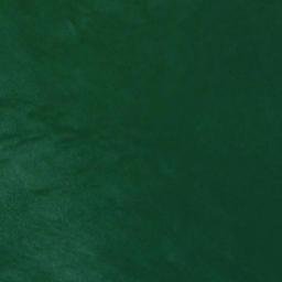 Satellite imagery of Monitor Point, US