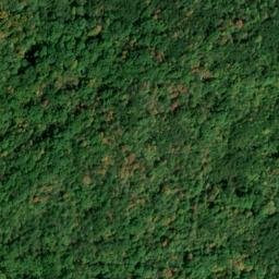 Satellite imagery of Cherry Ridge, US