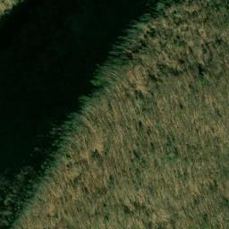 Satellite imagery of Fork Ridge, US