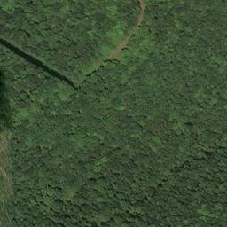 Satellite imagery of F 10 — NGS HX0077 — Lewis County, US, US