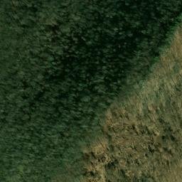 Satellite imagery of Fork Ridge, US