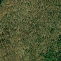 Satellite imagery of Fork Ridge, US