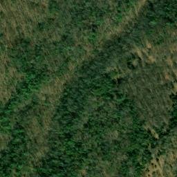 Satellite imagery of Fork Ridge, US