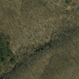 Satellite imagery of Mitchell Ridge, US