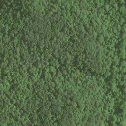 Satellite imagery of Depue Ridge, US