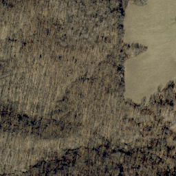 Satellite imagery of Taylor Ridge, US