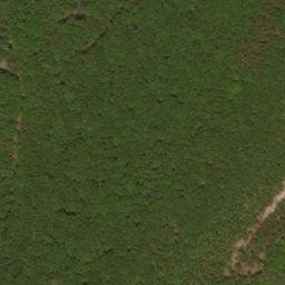 Satellite imagery of Trout Pond Ridge, US