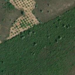Satellite imagery of Benson Ridge, US