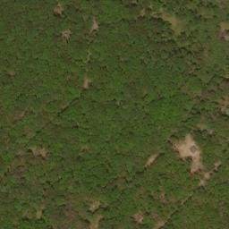 Satellite imagery of Trout Pond Ridge, US
