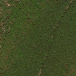 Satellite imagery of Trout Pond Ridge, US