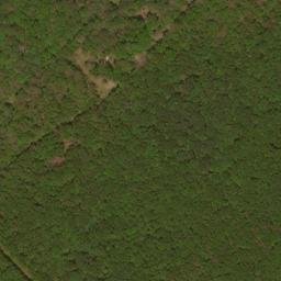Satellite imagery of Trout Pond Ridge, US