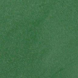 Satellite imagery of Rocky Point, US