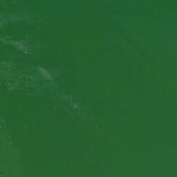 Satellite imagery of Luebow Point, US