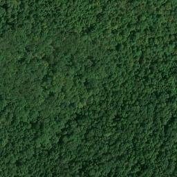 Satellite imagery of Stone Quarry Ridge, US