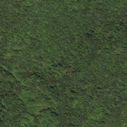 Satellite imagery of BALD — NGS HX2870 — Lewis County, US, US