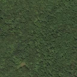 Satellite imagery of BALD — NGS HX2870 — Lewis County, US, US