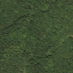 Satellite imagery of BALD — NGS HX2870 — Lewis County, US, US