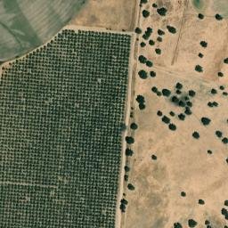 Satellite imagery of survey_point, PT