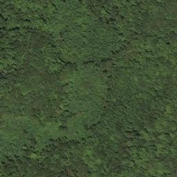 Satellite imagery of BALD — NGS HX2870 — Lewis County, US, US