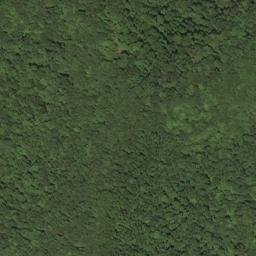 Satellite imagery of BALD — NGS HX2870 — Lewis County, US, US