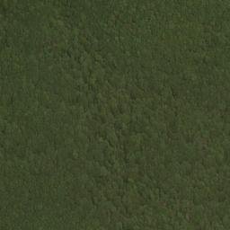 Satellite imagery of Five Lick Ridge, US