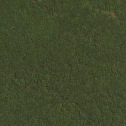 Satellite imagery of Five Lick Ridge, US