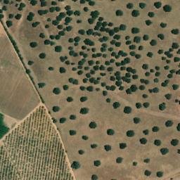 Satellite imagery of survey_point, PT
