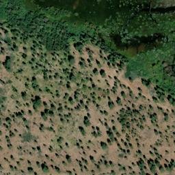 Satellite imagery of Tallac Point, US