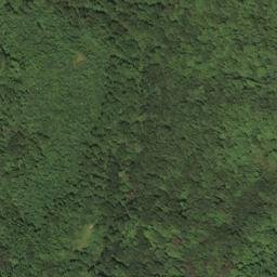 Satellite imagery of BALD — NGS HX2870 — Lewis County, US, US