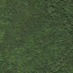 Satellite imagery of BALD — NGS HX2870 — Lewis County, US, US