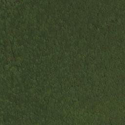 Satellite imagery of Five Lick Ridge, US