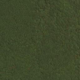 Satellite imagery of Five Lick Ridge, US