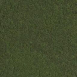 Satellite imagery of Five Lick Ridge, US