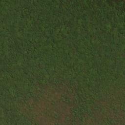 Satellite imagery of Middle Point, US