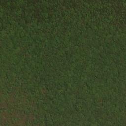 Satellite imagery of Middle Point, US