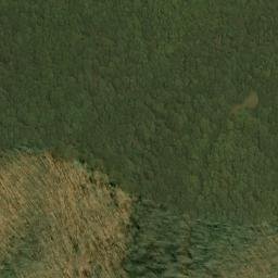Satellite imagery of Five Lick Ridge, US