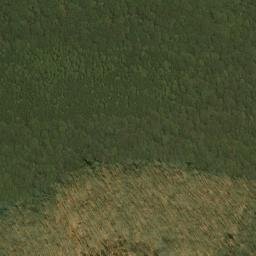 Satellite imagery of Five Lick Ridge, US