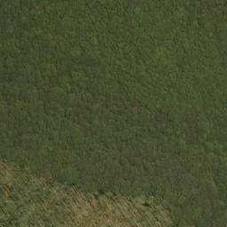 Satellite imagery of Five Lick Ridge, US