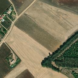 Satellite imagery of survey_point, PT