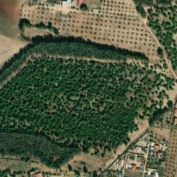 Satellite imagery of survey_point, PT