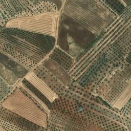 Satellite imagery of survey_point, PT