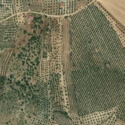 Satellite imagery of survey_point, PT