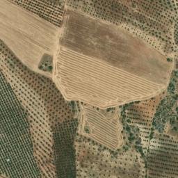 Satellite imagery of survey_point, PT