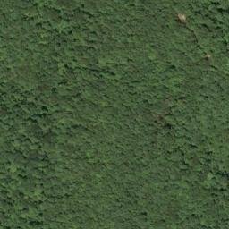 Satellite imagery of Groundhog Ridge, US