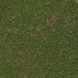 Satellite imagery of Falls Ridge, US