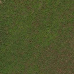 Satellite imagery of Falls Ridge, US