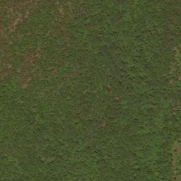 Satellite imagery of Falls Ridge, US